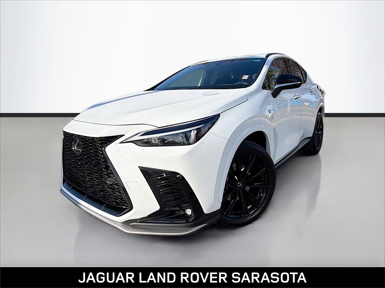 2024 Lexus NX 350's photo