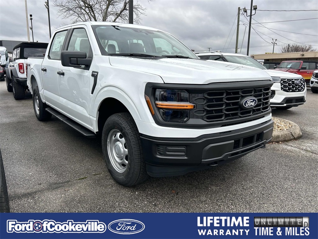 2025 Ford F-150 XL's photo