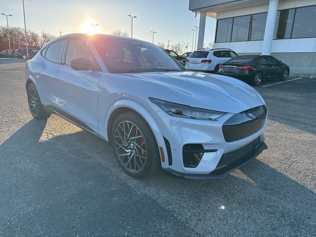 2021 Ford Mustang Mach-E GT AWD's photo