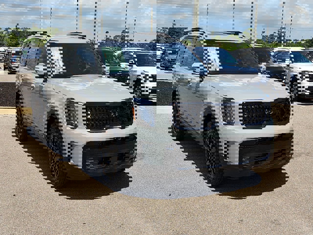 2025 Kia Telluride SX Prestige X-Line photo 3