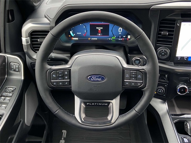 2025 Ford F-150 Platinum photo 21