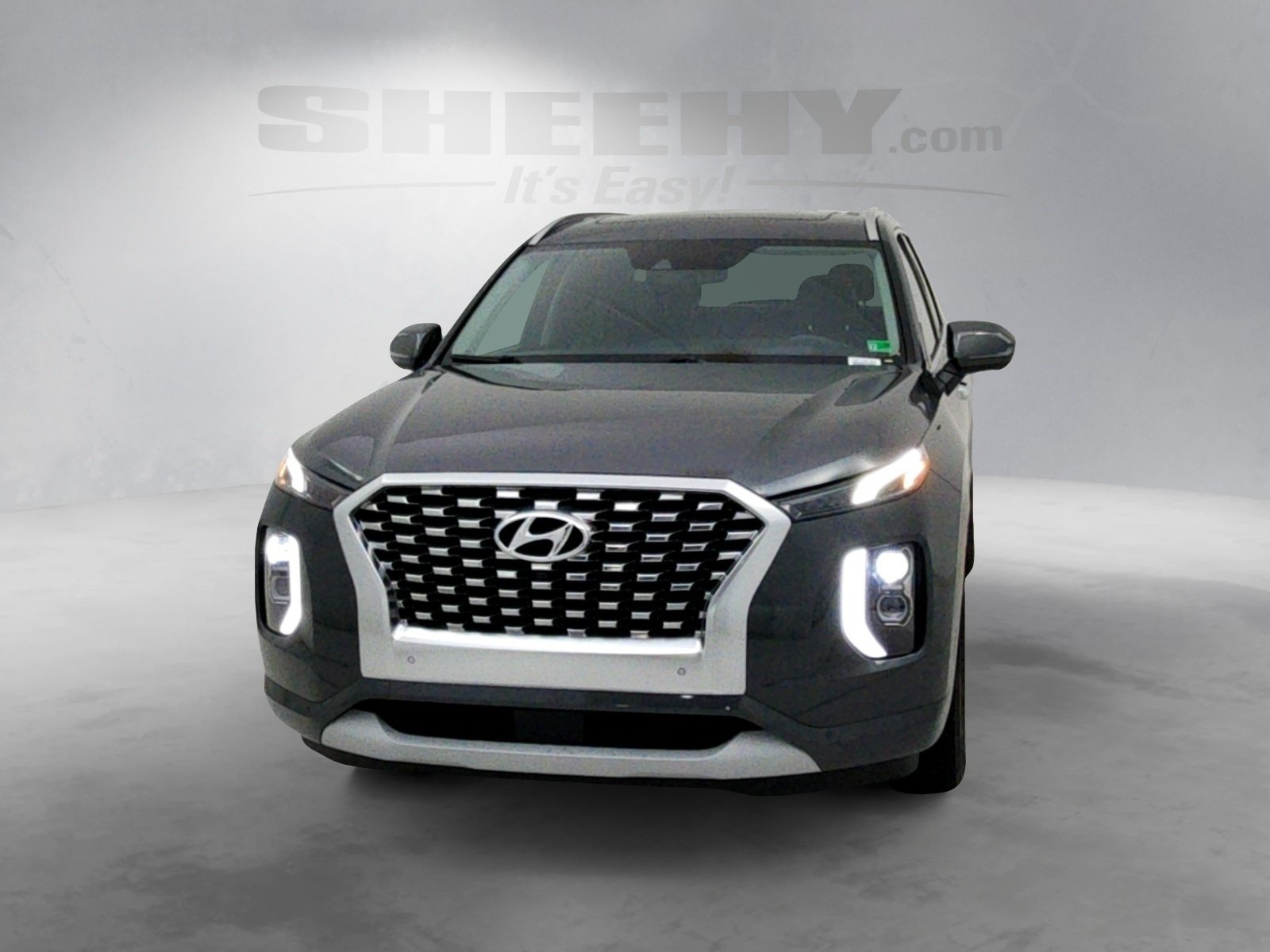 2021 Hyundai Palisade Limited photo 2