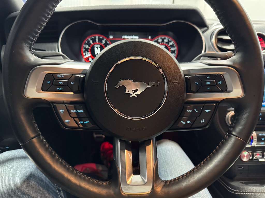 2023 Ford Mustang Mach 1 photo 24