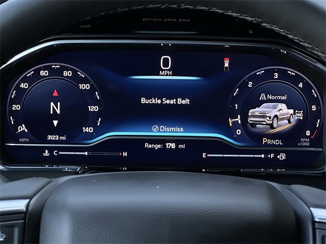 2025 Chevrolet Silverado 1500 LT photo 14