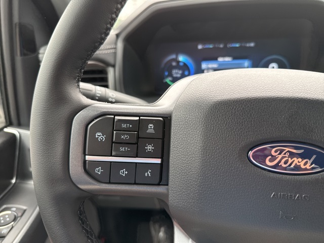 2025 Ford F-150 Lightning photo 25