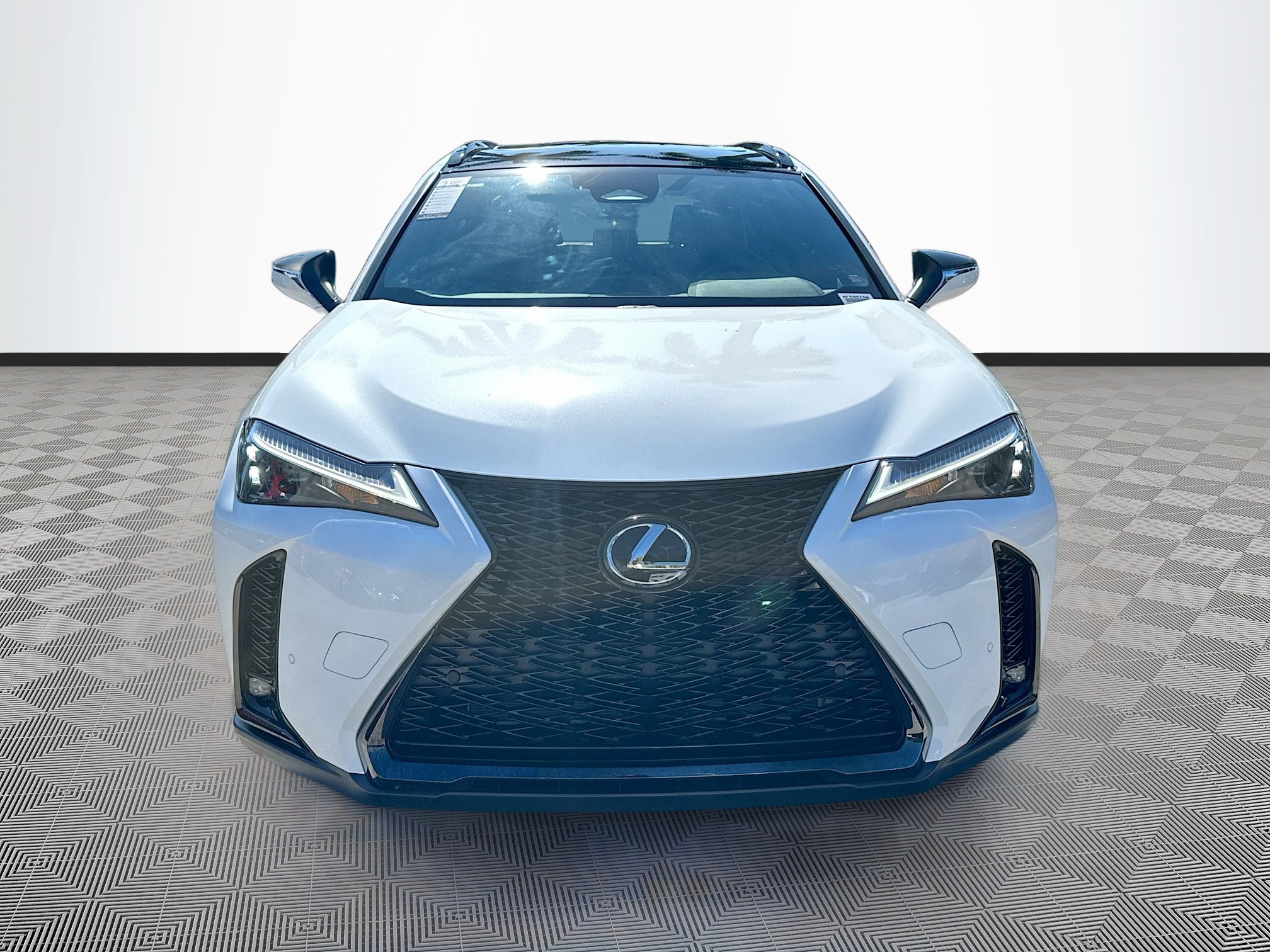 2025 Lexus UX photo 2