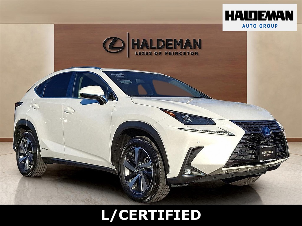 2019 Lexus NX Hybrid 300h's photo