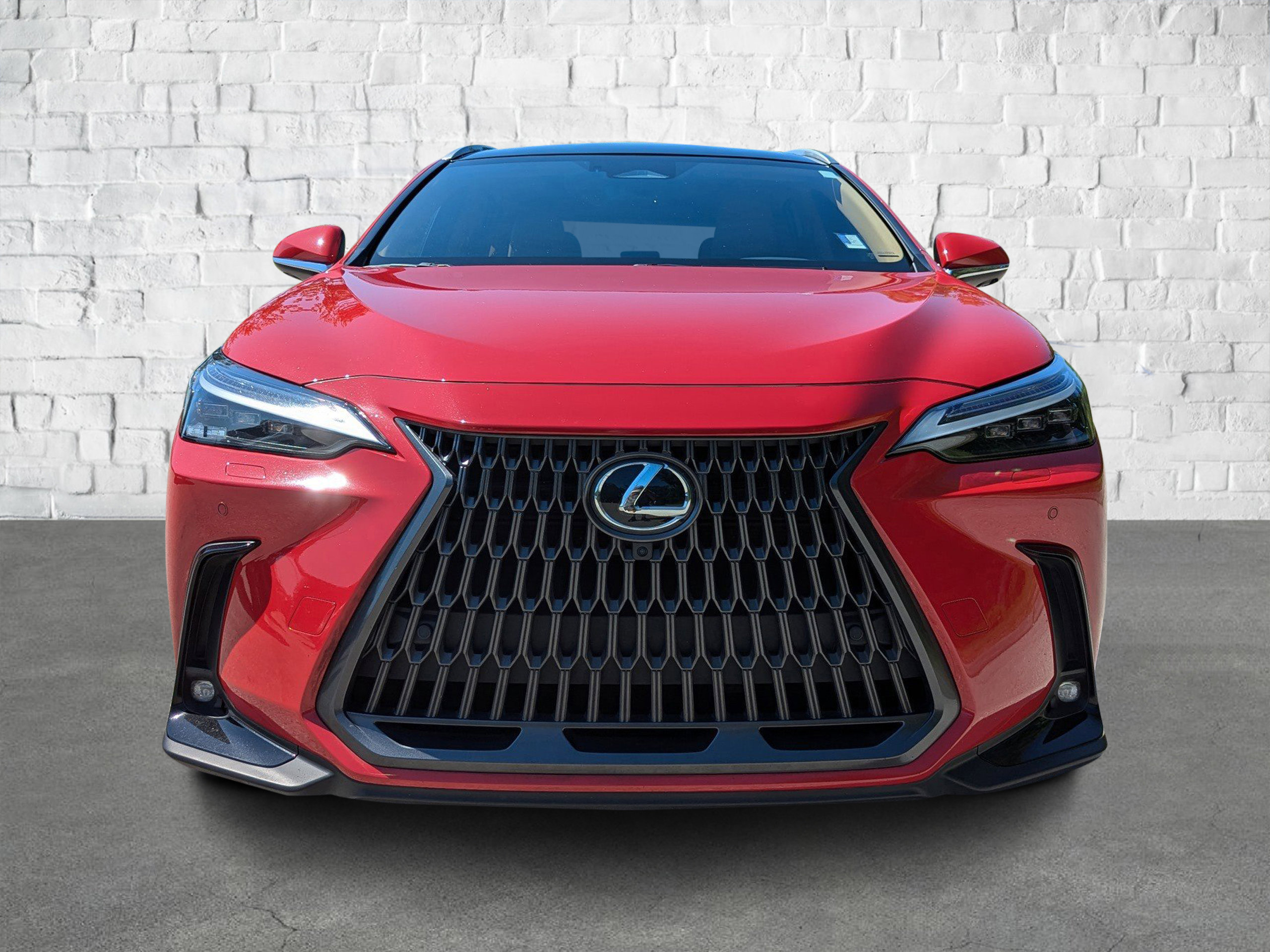 2025 Lexus NX 350h Luxury photo 3