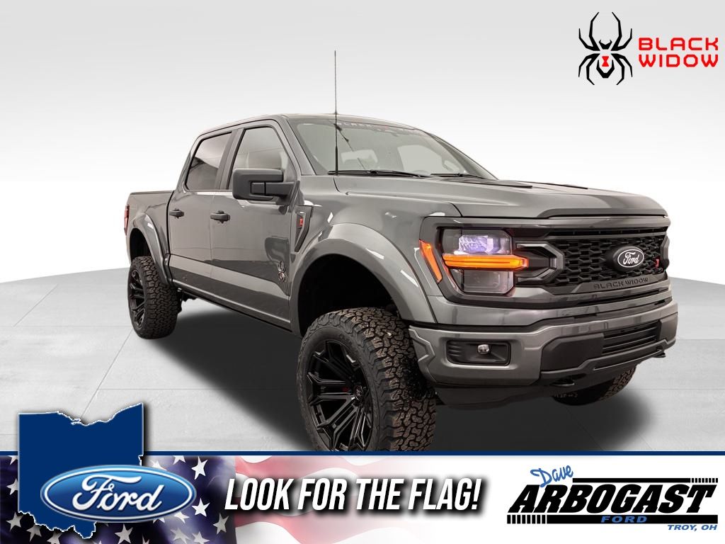 2025 Ford F-150 STX's photo