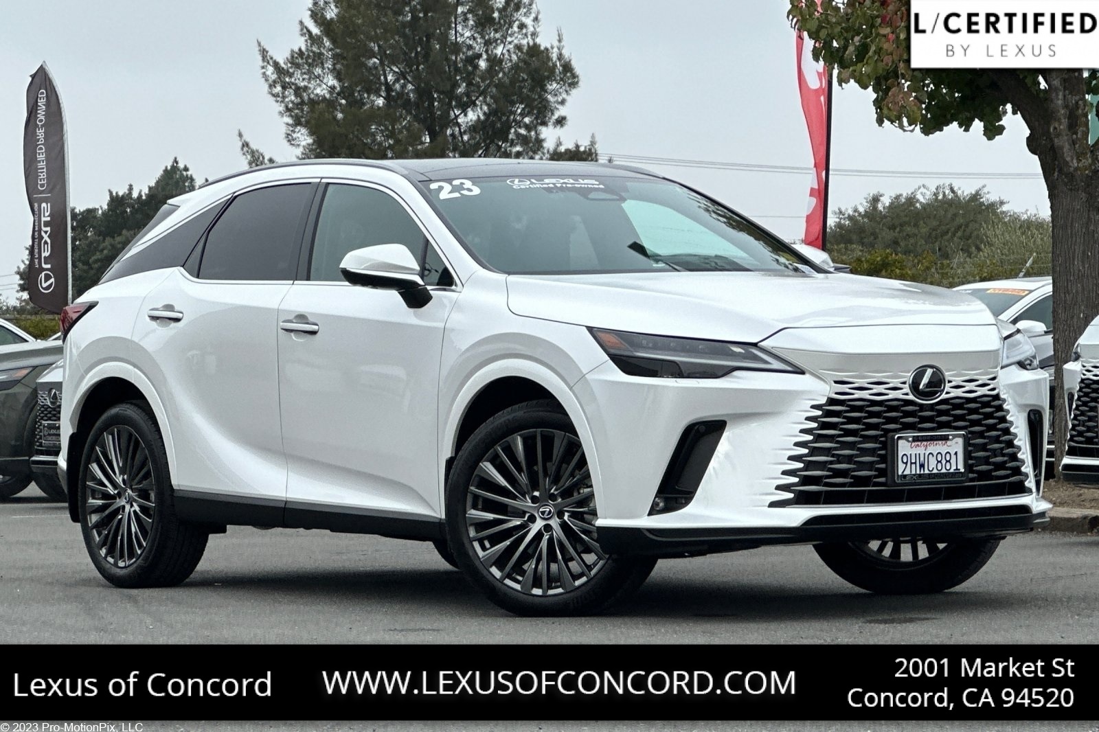 2023 Lexus RX 350's photo