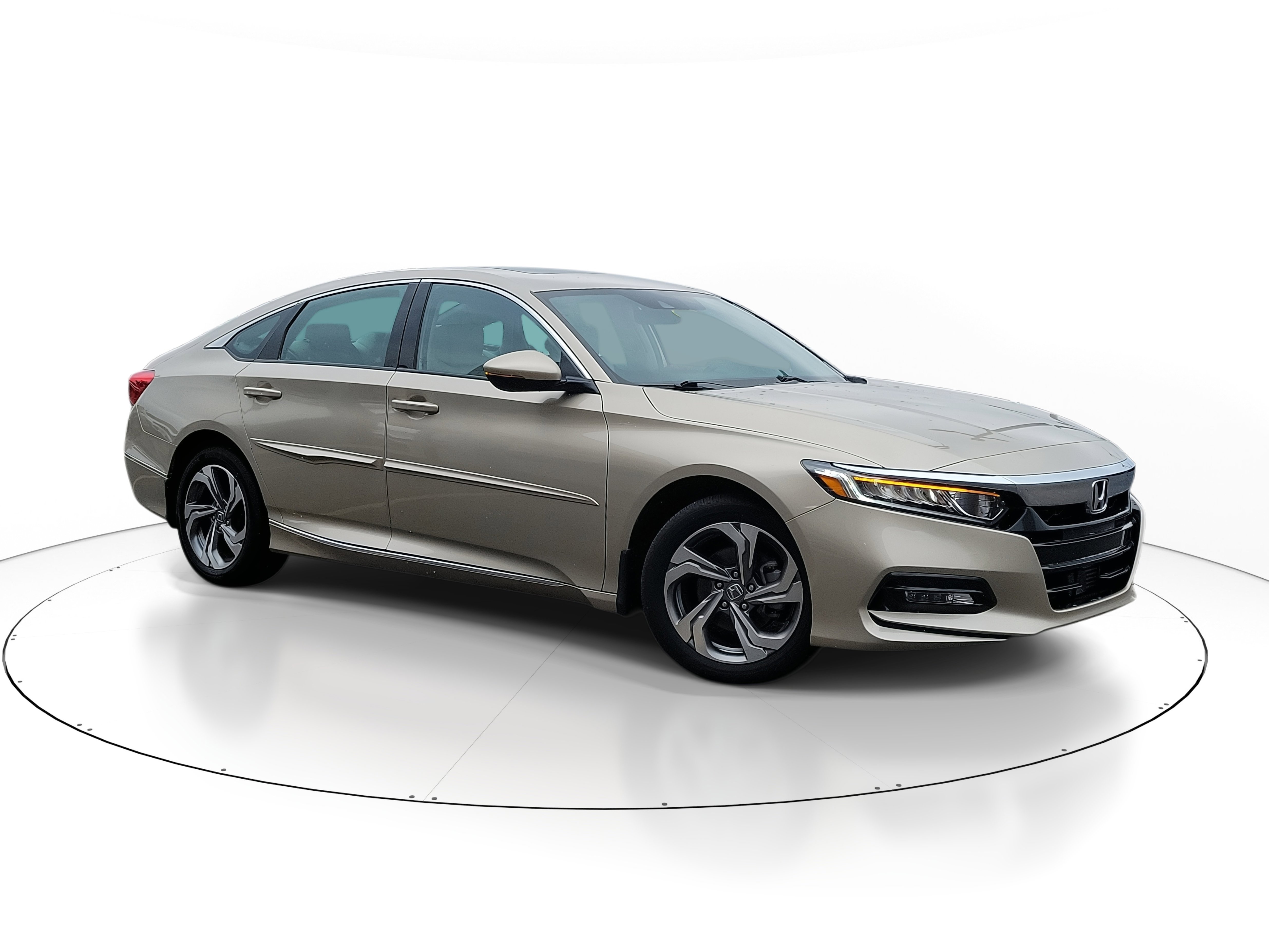 2019 Honda Accord EX-L's photo