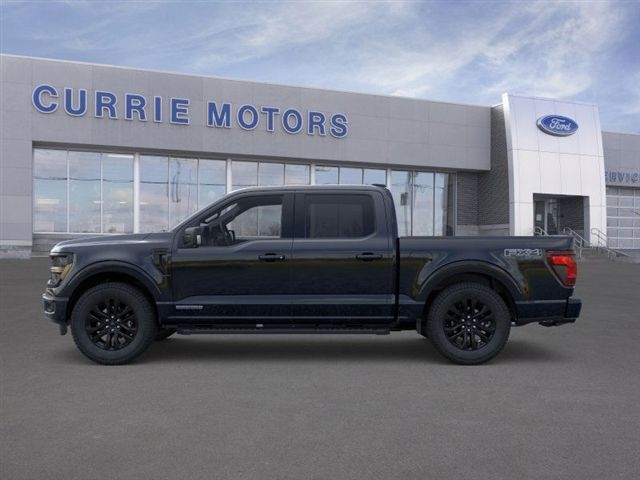 2025 Ford F-150 XLT photo 3