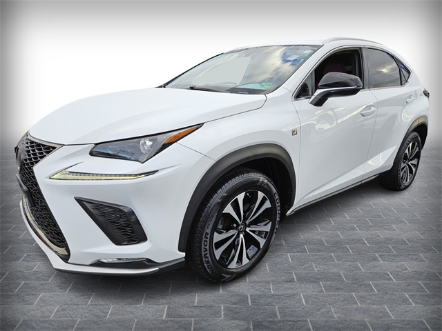 2018 Lexus NX 300 Luxury photo 3