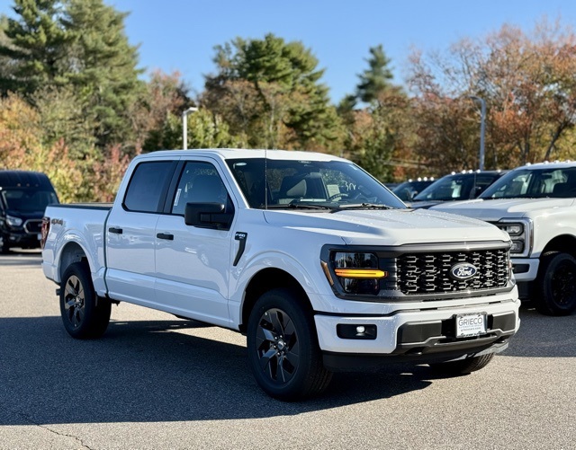 2025 Ford F-150 STX's photo