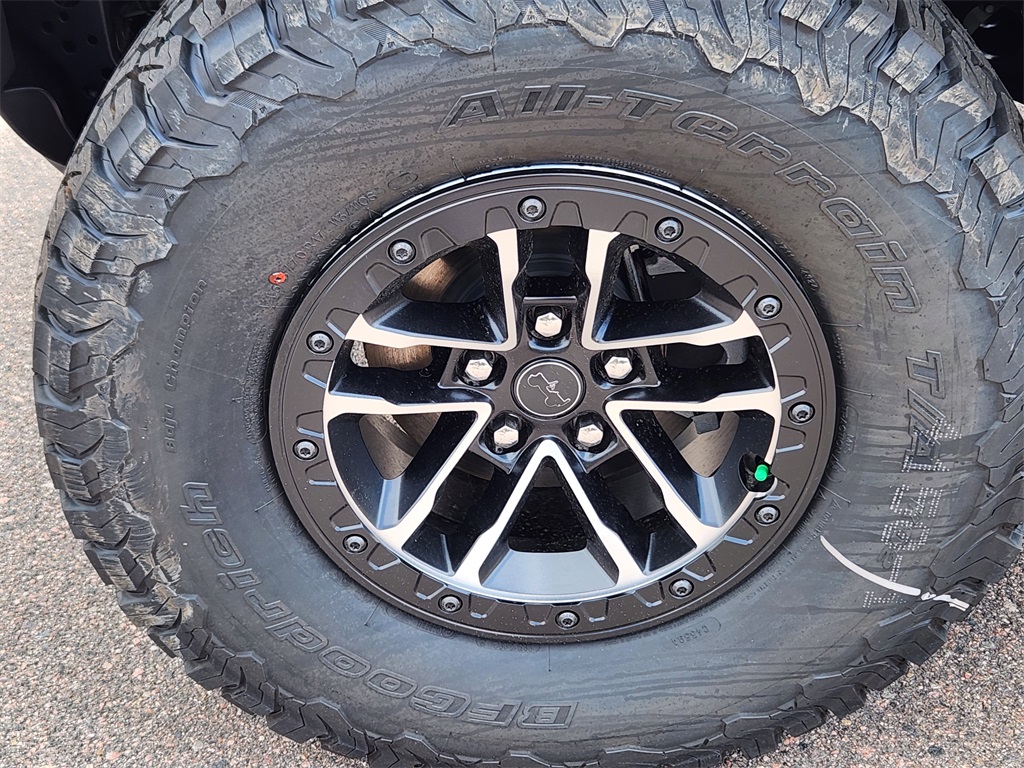 2025 Jeep Wrangler Willys photo 15