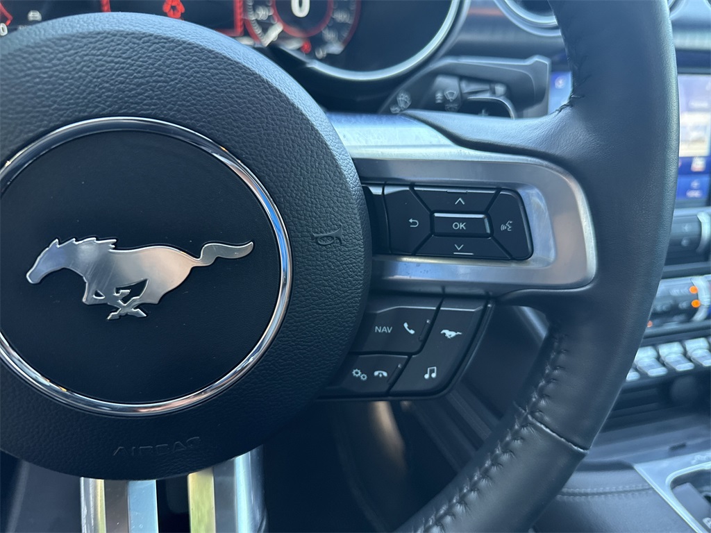 2022 Ford Mustang Mach 1 photo 24