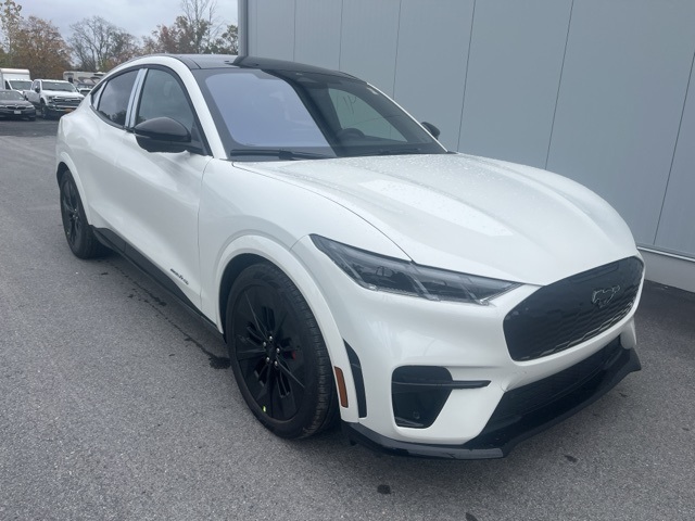 2025 Ford Mustang Mach-E GT AWD's photo