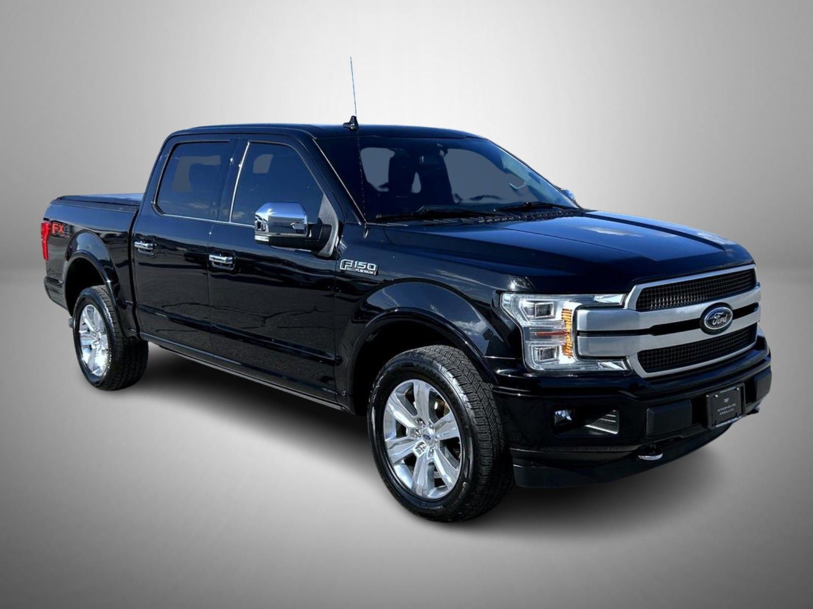 2019 Ford F-150 Platinum photo 3