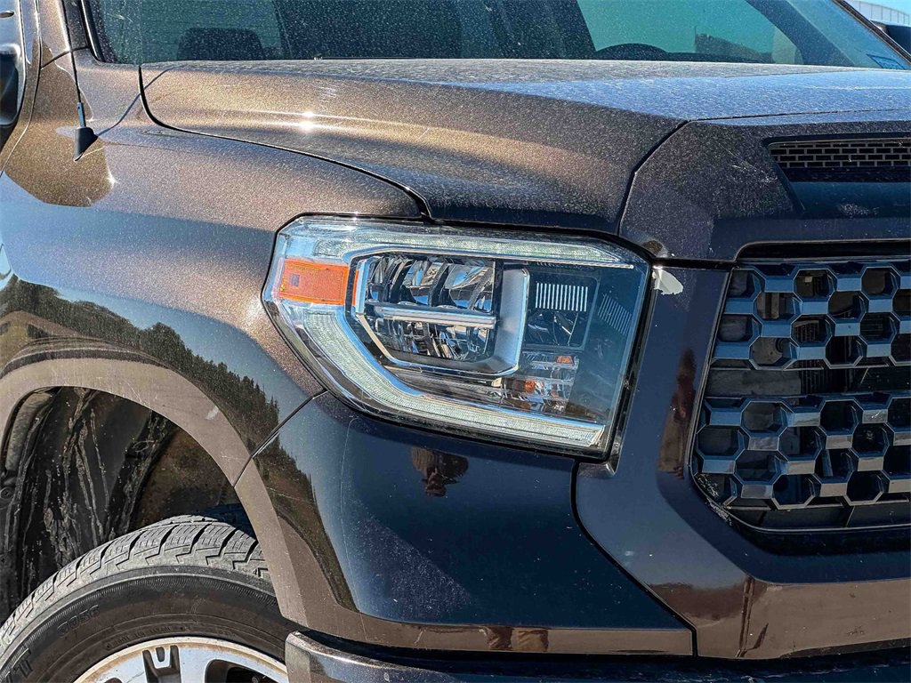 2019 Toyota Tundra Platinum Grade photo 3