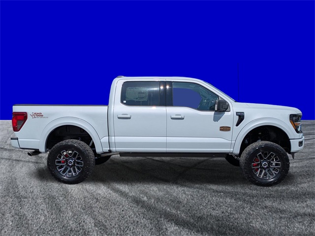 2025 Ford F-150 XLT photo 3