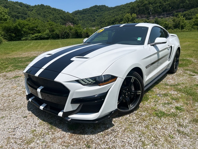 2019 Ford Mustang GT Premium photo 3