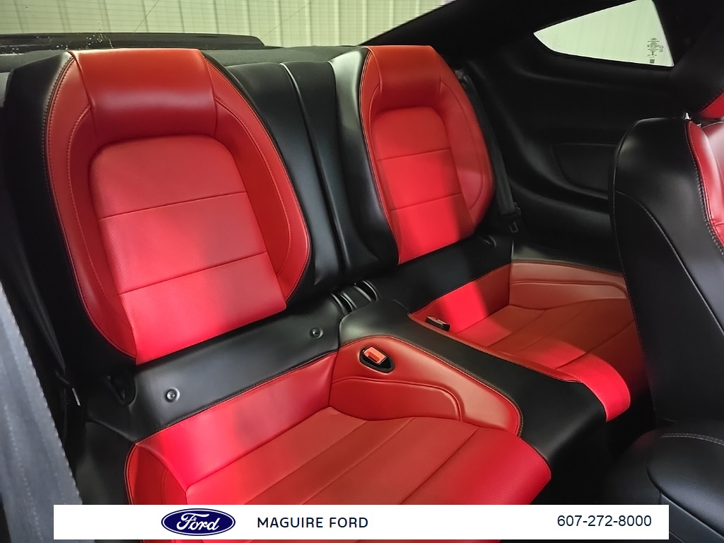 2019 Ford Mustang GT Premium photo 16