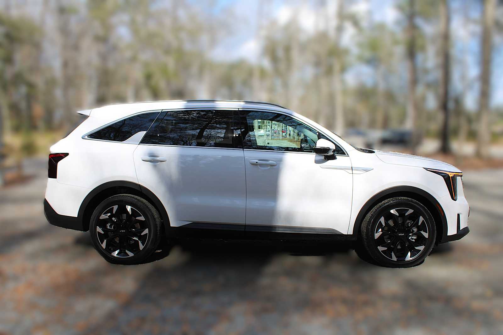 2025 Kia Sorento EX photo 14