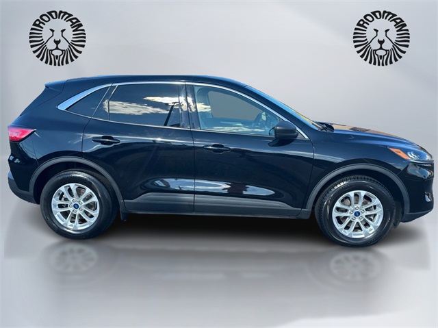 2022 Ford Escape SE photo 4