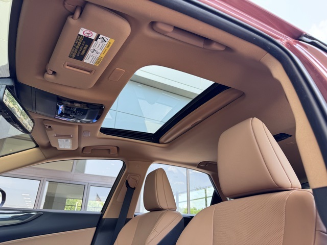 2025 Lexus NX 350 Premium photo 11