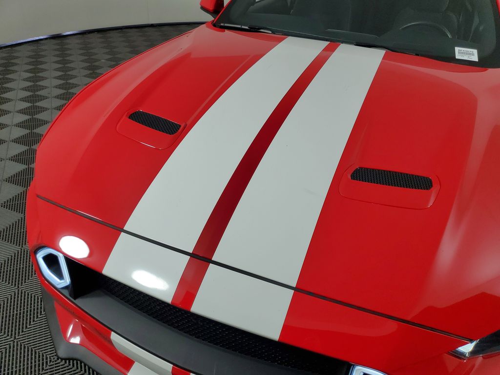 2019 Ford Mustang GT photo 10