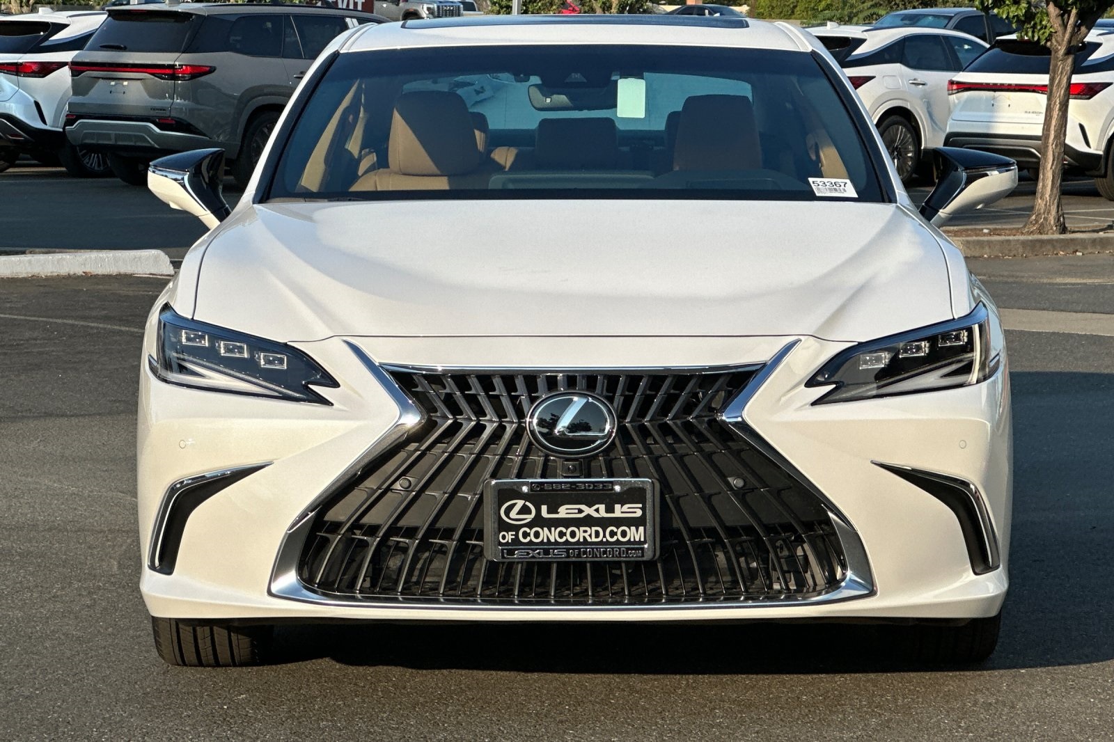 2025 Lexus ES 300h Luxury photo 6