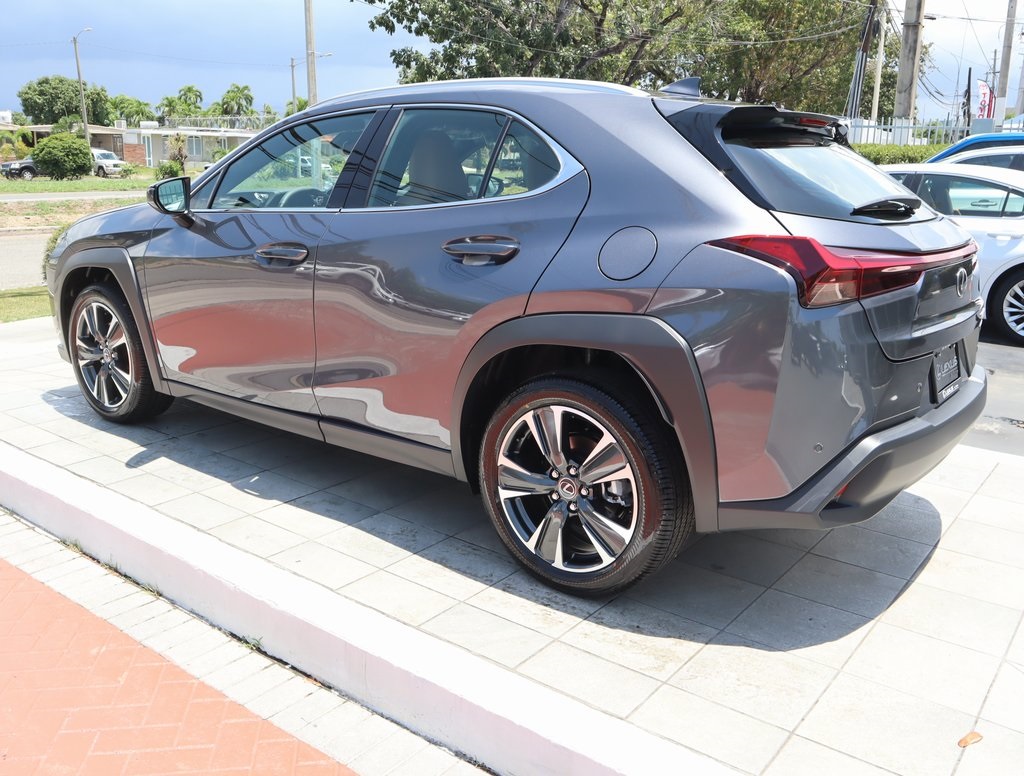 2025 Lexus UX photo 7