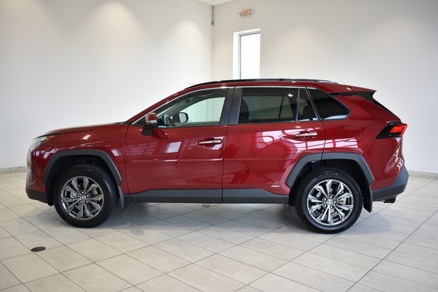 2024 Toyota RAV4 Hybrid Limited photo 5
