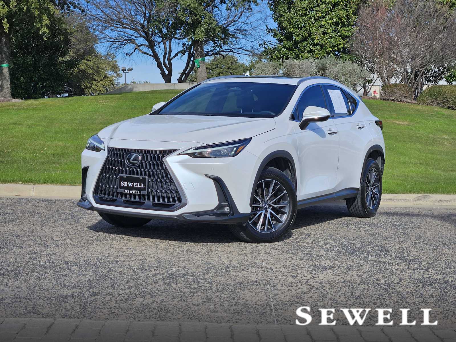 2023 Lexus NX Base's photo