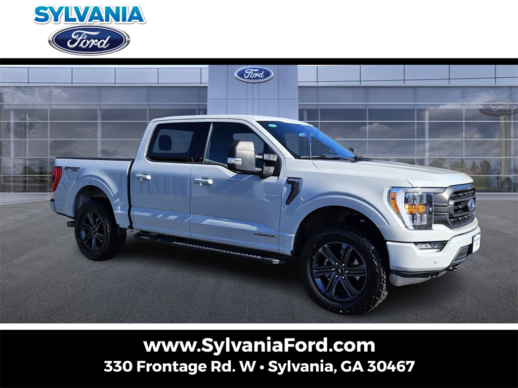 2023 Ford F-150 XLT's photo