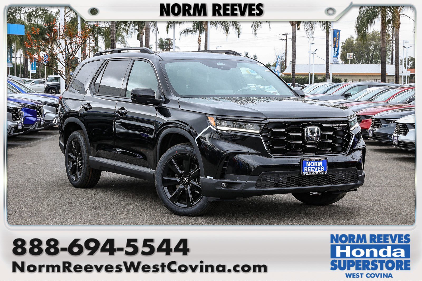 2025 Honda Pilot Black Edition's photo