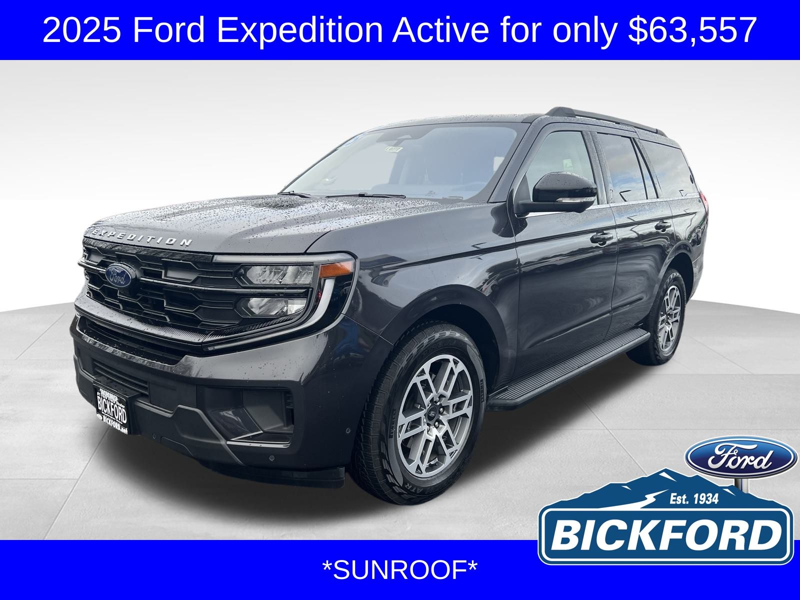 2025 Ford Expedition Active's photo