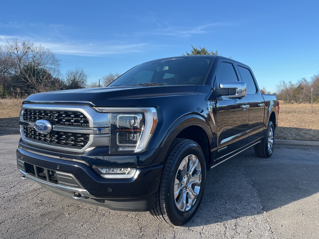 2022 Ford F-150 Platinum's photo