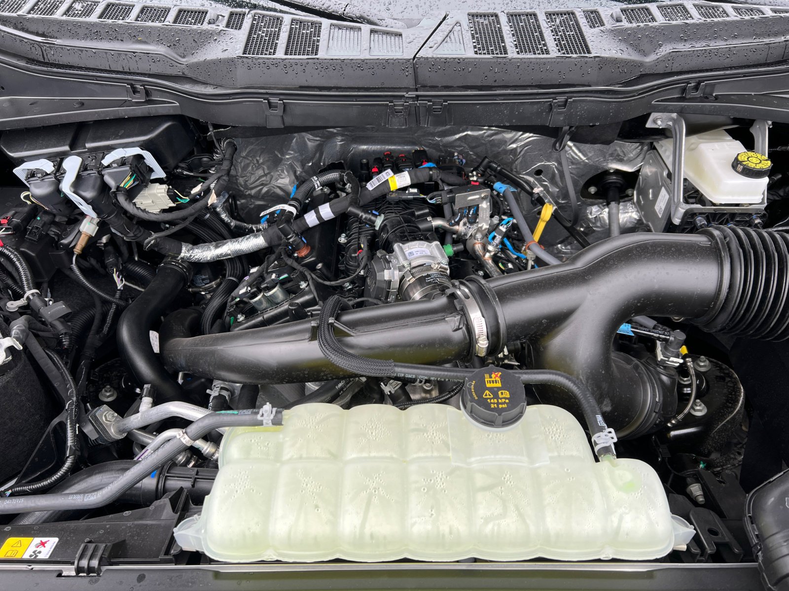 2025 Ford F-150 STX photo 18