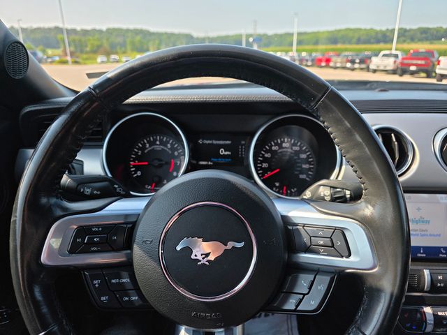 2023 Ford Mustang EcoBoost Premium photo 13