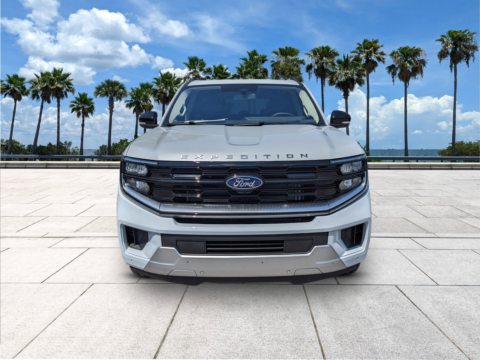2025 Ford Expedition Platinum photo 2