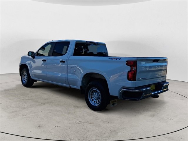 2025 Chevrolet Silverado 1500 photo 3