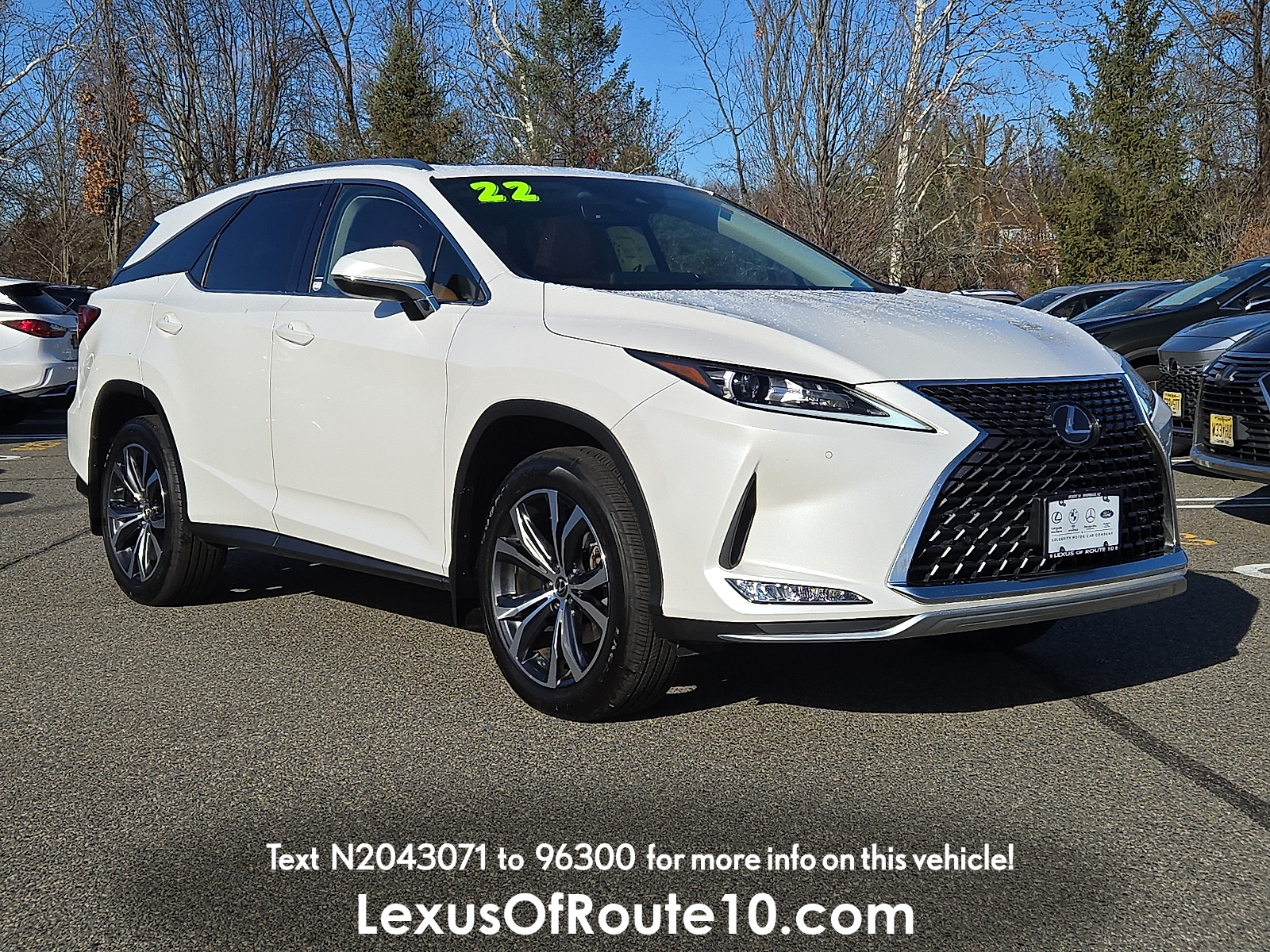 2022 Lexus RX 350's photo