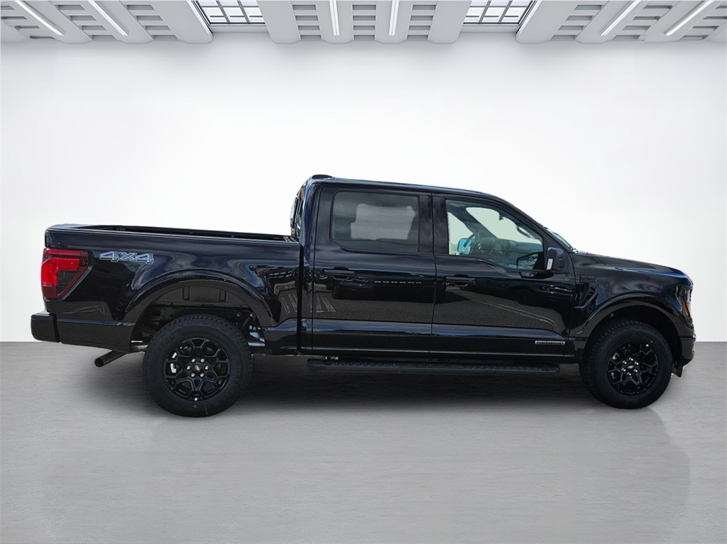 2025 Ford F-150 XLT photo 3