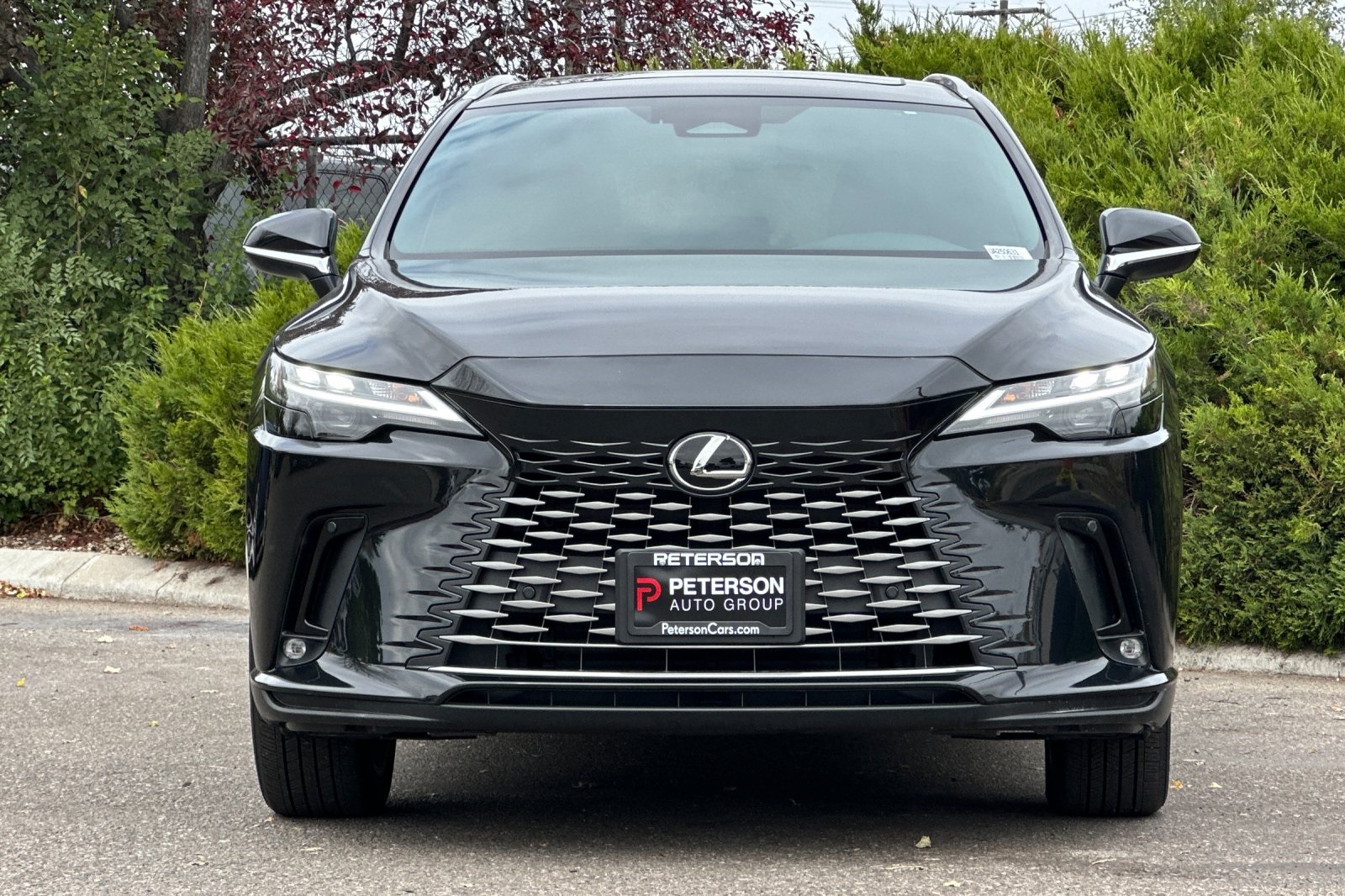 2023 Lexus RX 350h Premium AWD photo 7
