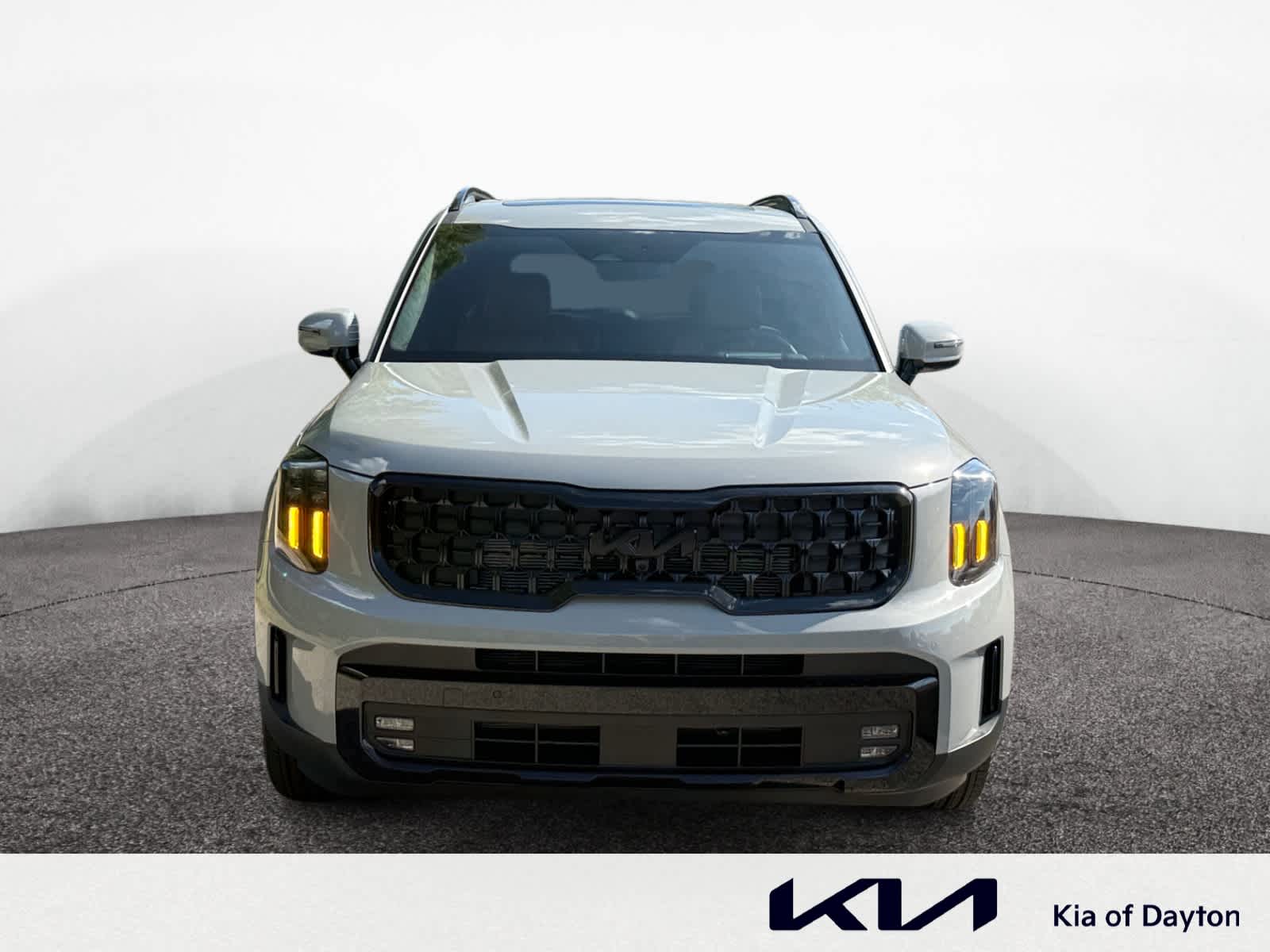 2025 Kia Telluride X-Line photo 8