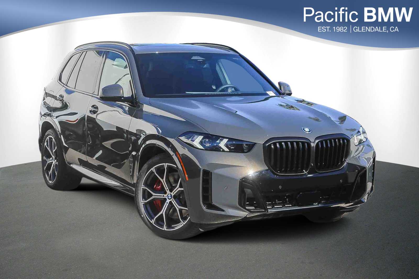 2026 BMW X5 50e's photo