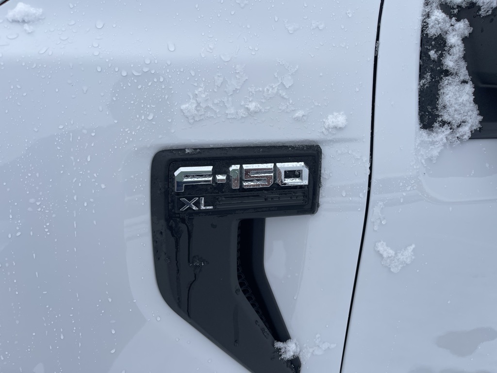 2021 Ford F-150 XL photo 4