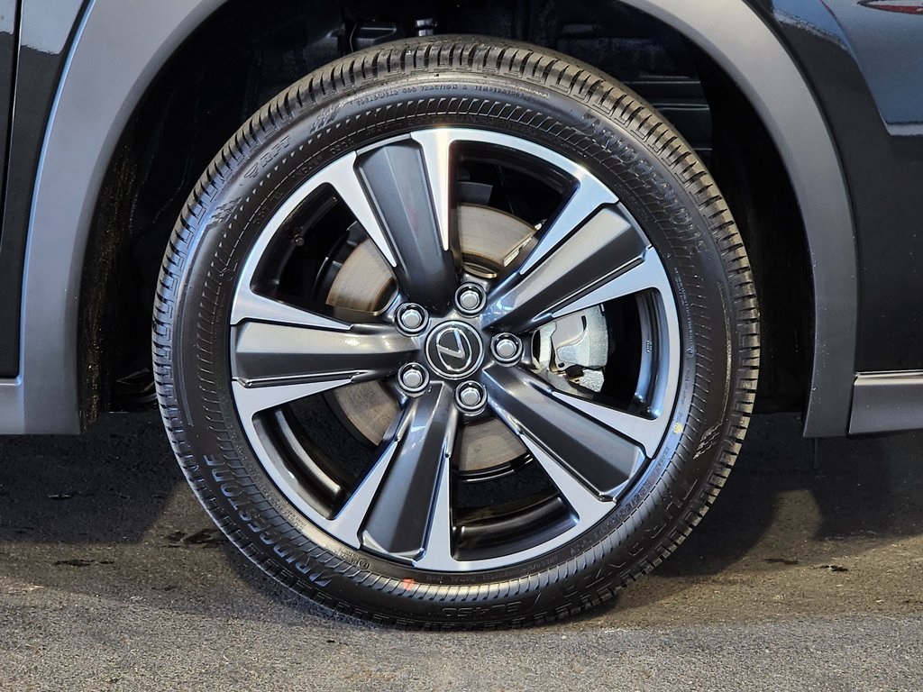2025 Lexus UX photo 4