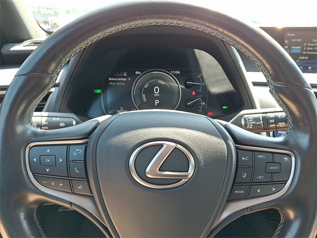 2019 Lexus UX 250h photo 16